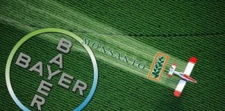 Zbog kupnje Monsanta njemački div Bayer u problemima, otpušta oko 12.000 zaposlenika