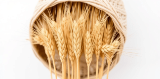 Hrvatska proizvodnja u vrhu EU po prinosima