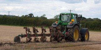 Značaj zimske brazde Ploughing the first furrow