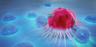 Biorazgradivi polimeri iz bioosnova