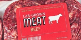 Svjetska potrošnja govedine