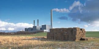 Biomasa kao izvor energije, biogoriva