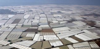 Almeria u staklenicima proizvede više od cijele hrvatske poljoprivrede