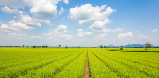 Problem državnog zemljišta !