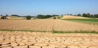 Nastavi li se suša, Hrvatskoj prijeti i poljoprivredna katastrofa