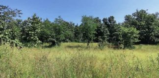 Neobrađene zemlje imamo za prehraniti 11 milijuna ljudi