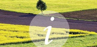 Rokovi za dostavu dokumentacije