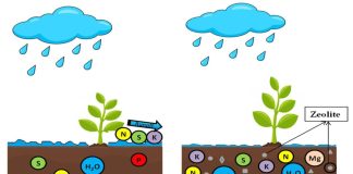 Prednosti korištenja zeolita