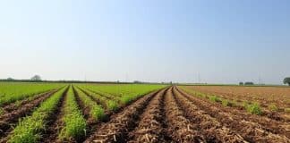 Što je konzervacijska poljoprivreda?