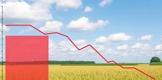 Očekuje se pad vrijednosti realnog dohotka u poljoprivredi