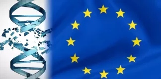 EU je podržala proizvodnju GMO hrane !