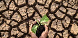 Kako klimatske promjene utječu na poljoprivredu?!