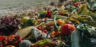 Hrvatski poljoprivrednici morali baciti vagone hrane!