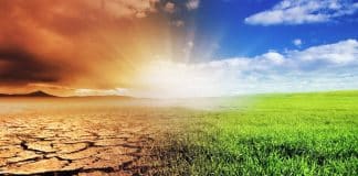 Poljoprivrednici na udaru klimatskih promjena