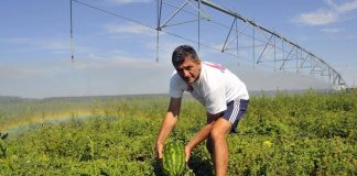 Unatoč šteti od 400.000 € Mirko Bošković ne odustaje