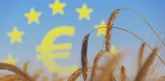 EU ima novu viziju poljoprivredne i prehrambene politike
