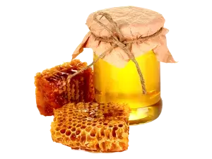 Med i pčelinji proizvodi