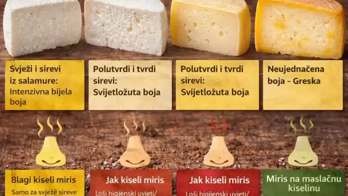 sirevi