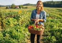 Domaća Sirovina: Ključ Održive Budućnosti