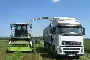 Transport