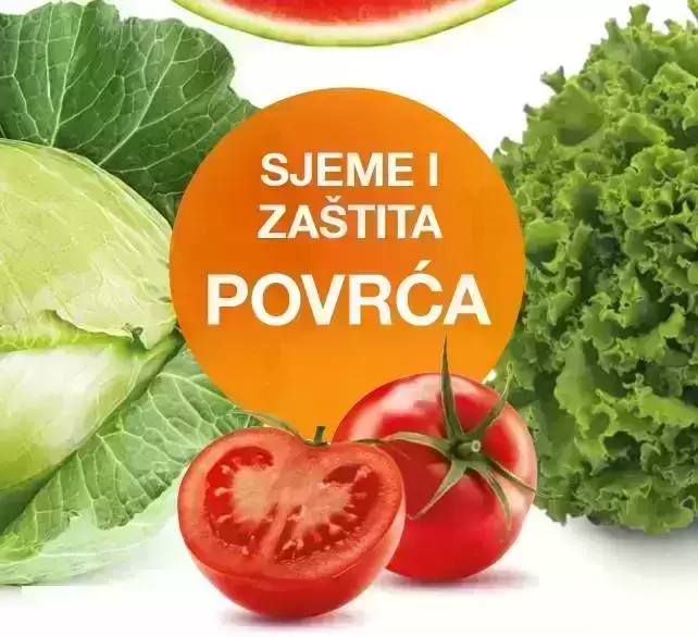 Povrče