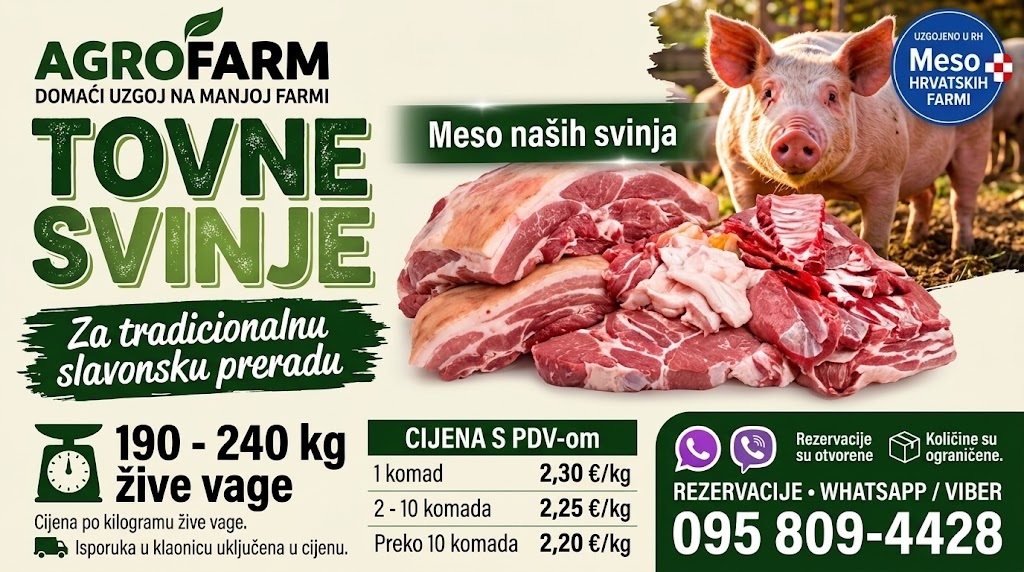 Svinje