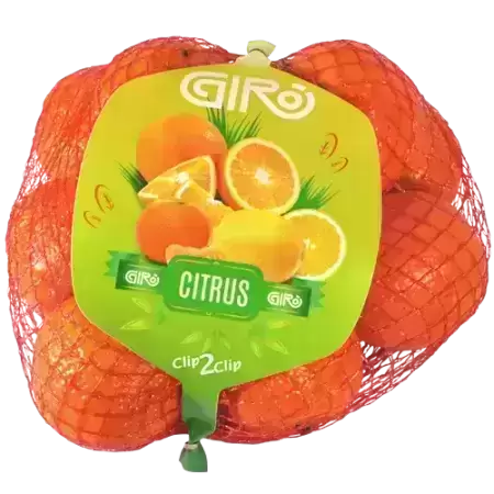 gallery_2_Giro-2_1756634175.png