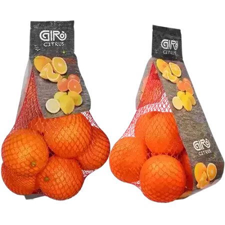 gallery_3_Giro-3_1756634175.png