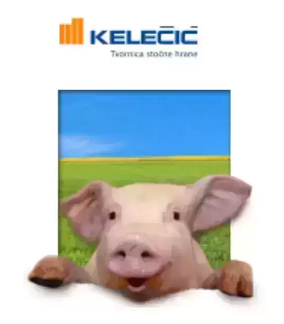 Stočna hrana za svinje