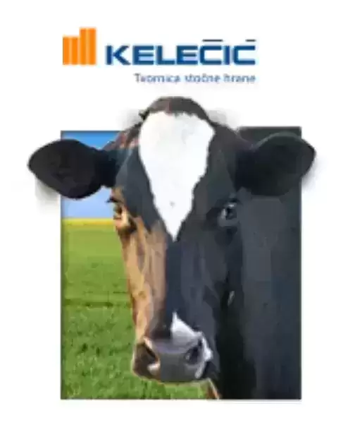 Stočna hrana za preživače