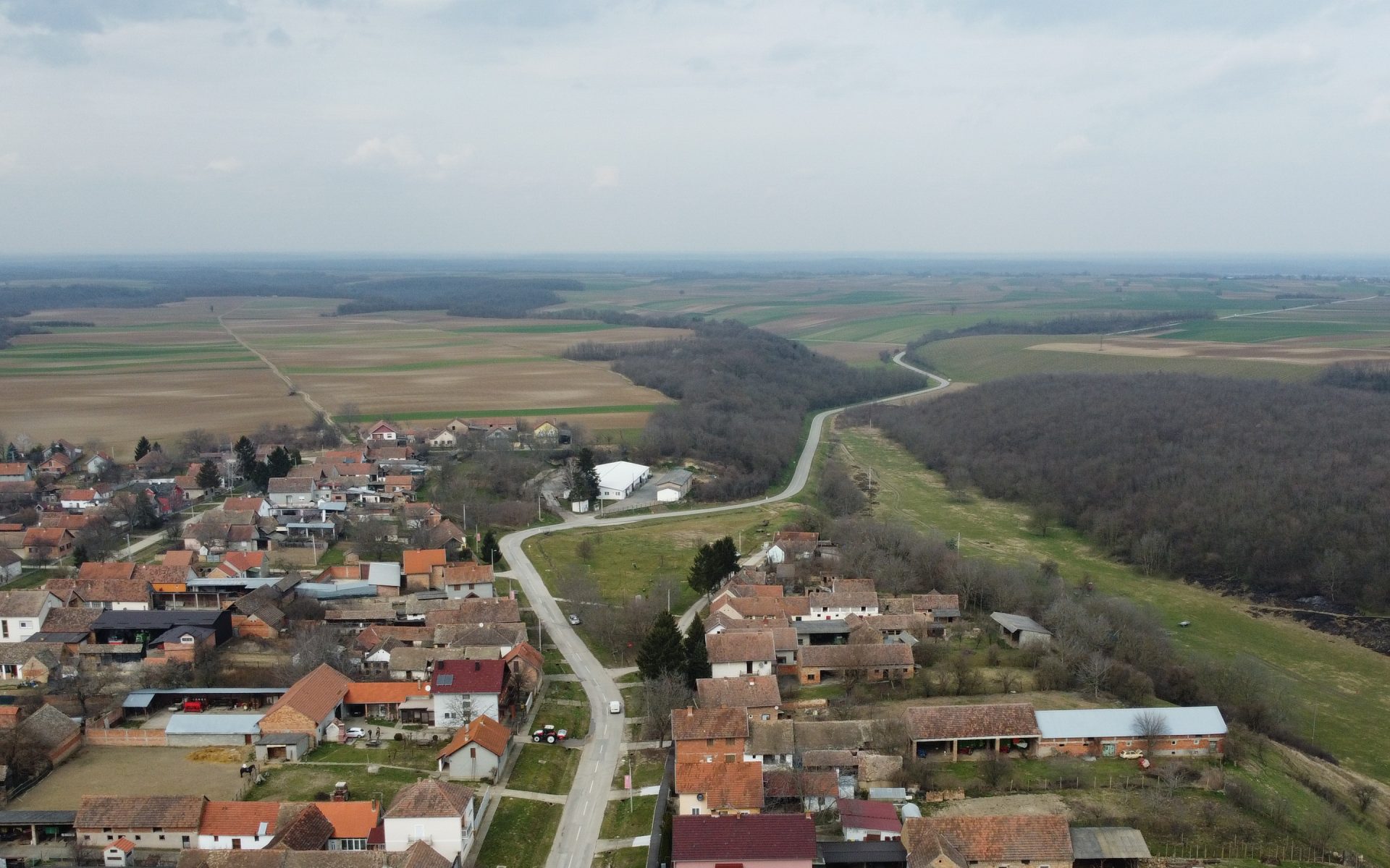 vuljica3
