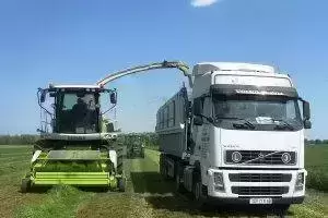 Transport