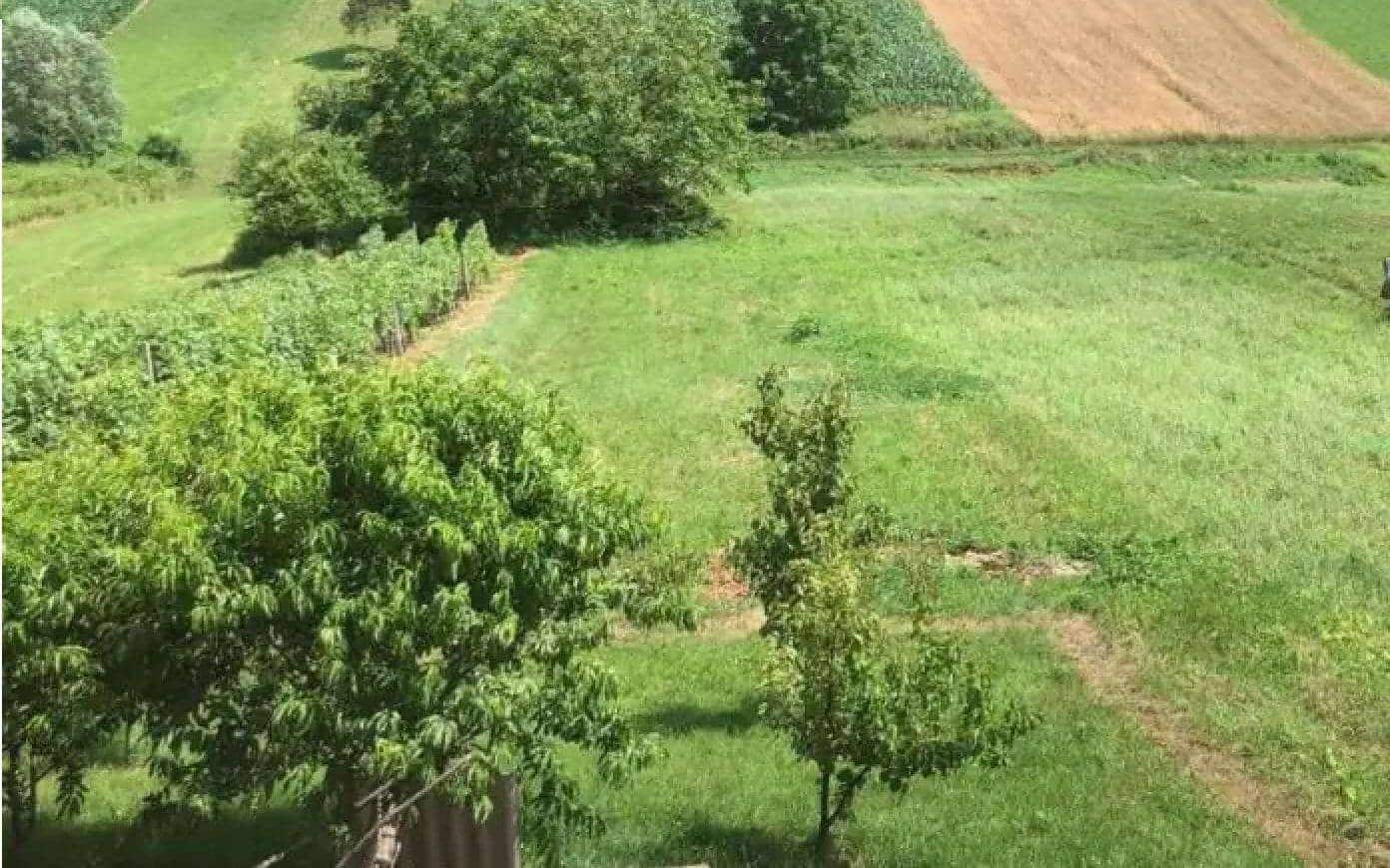 zoran.bezjak