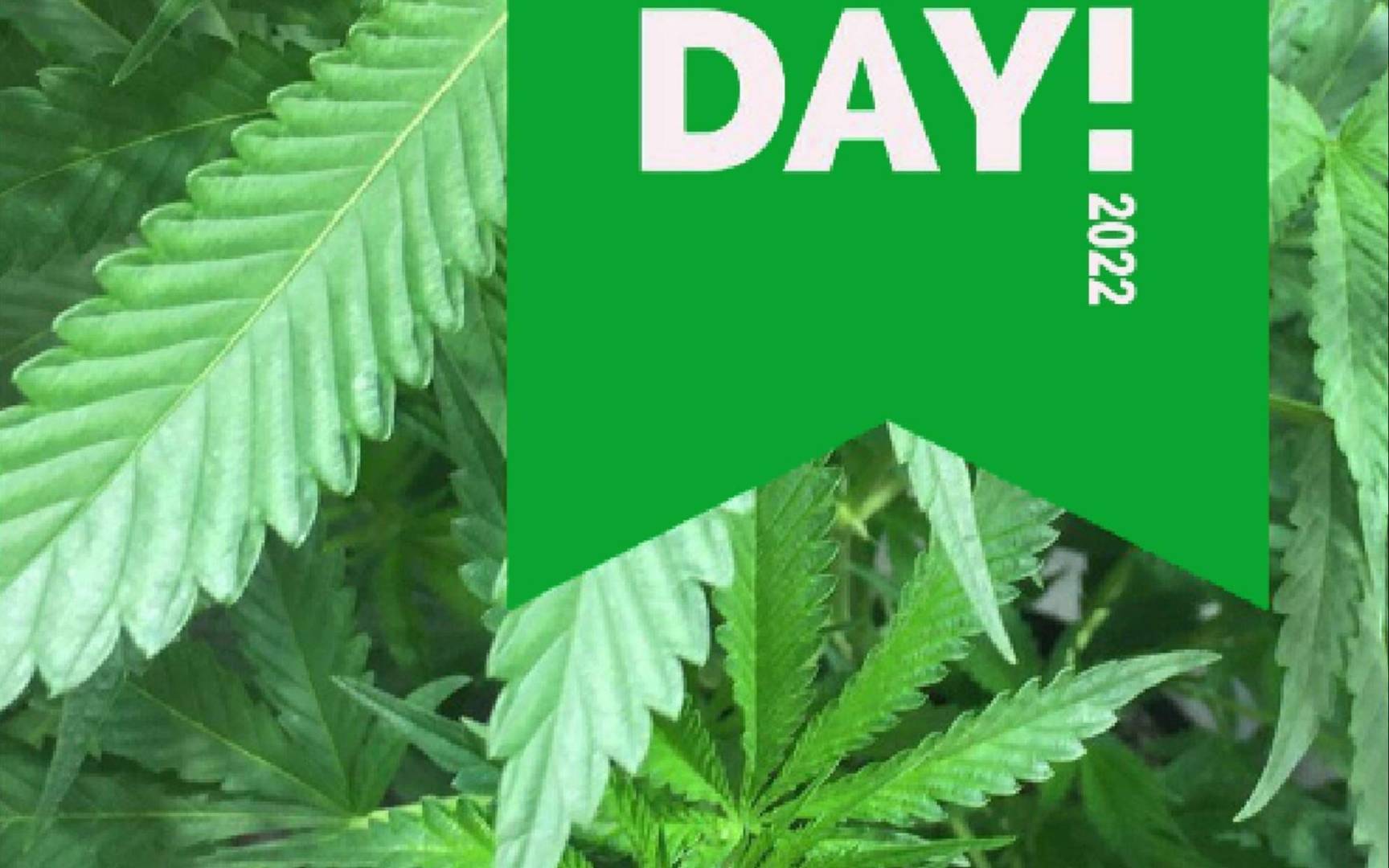marina.hrzica