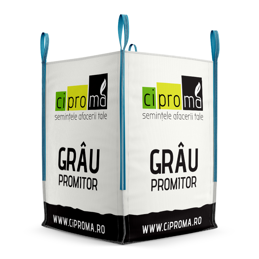 gallery_1_Grau-Promitor-1_1756718276.png